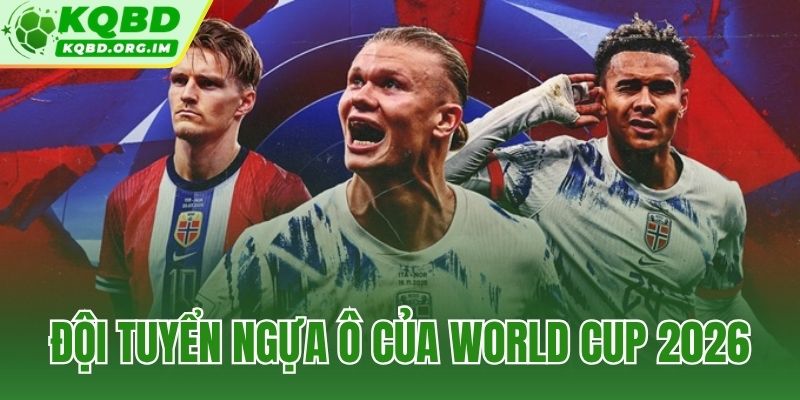 đội tuyển ngựa ô của World Cup 2026
