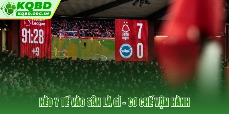 Prop bet theo dõi số lần bác sĩ chạy ra thảm cỏ mỗi trận
