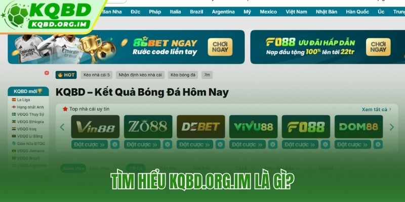 Giới thiệu petlike.me kho dữ liệu bóng đá ra mắt từ tháng 10/2012